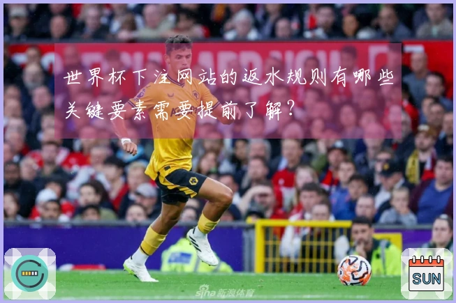 世界杯下注网站的返水规则有哪些关键要素需要提前了解？