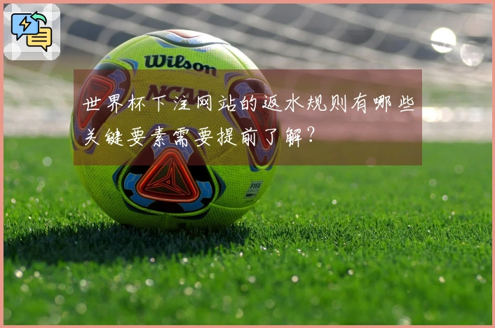 世界杯下注网站的返水规则有哪些关键要素需要提前了解？
