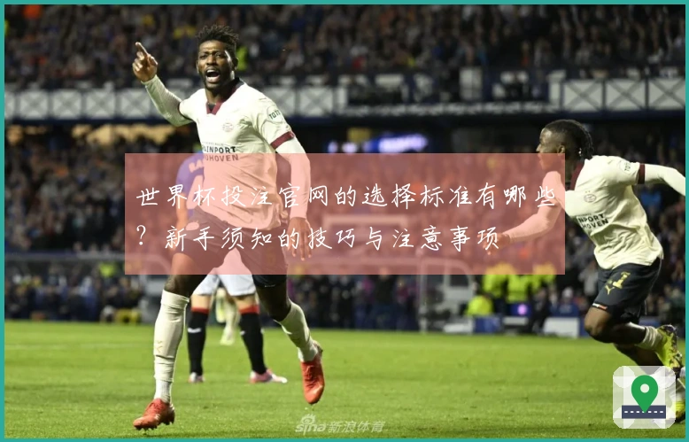 世界杯投注官网的选择标准有哪些？新手须知的技巧与注意事项